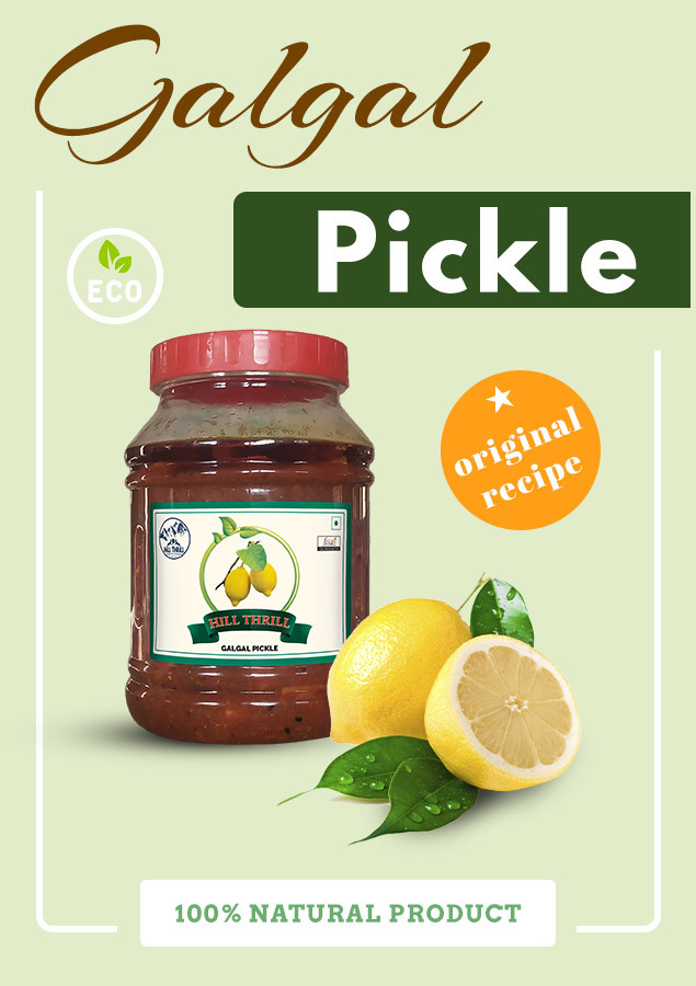 pickle-galgal